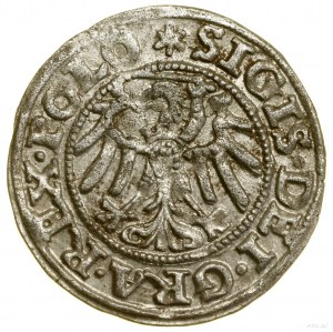 Sheląg, 1547, Danzica; marchi iniziali: al dritto stella....