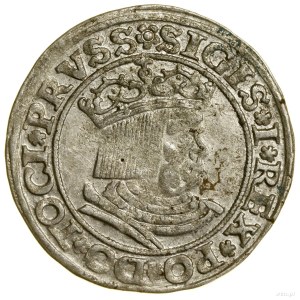 Grosz, 1530, Toruń; spada a destra della testa dell'aquila, k...