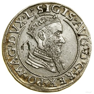 Czworak, 1568, Wilno; końcówki legend L / LITV; Białk.-...