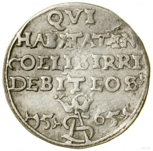 Spöttischer Trojak, 1565, Tykocin; Av: Pogon links, unter ...