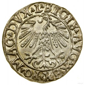 Half-penny, 1558, Vilnius; endings of legends L / LITV; Białk....