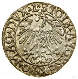 Půlpenny, 1558, Vilnius; koncovky legend L / LITV; Białk....