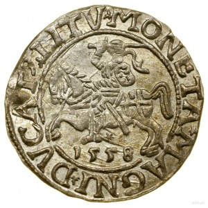 Demi-penny, 1558, Vilnius ; terminaisons des légendes L / LITV ; Białk....