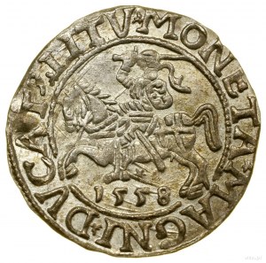 Půlpenny, 1558, Vilnius; koncovky legend L / LITV; Białk....