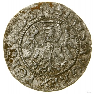 Sheląg, 1551, Gdańsk; in obverse legend M D LI; Białk....