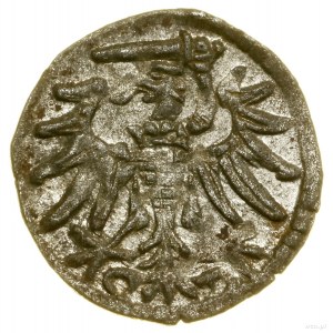 Denar, 1551, Danzig; Bialk.-Szw. 406 (R5), CNG 81.III, ...