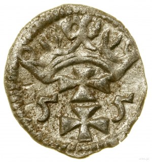 Denar, 1555, Danzica; Bialk.-Szw. 409 (R2), CNG 81.VII, ...