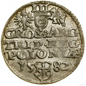 Trojak, 1582, Olkusz; duża głowa króla, rozeta pomiędzy...