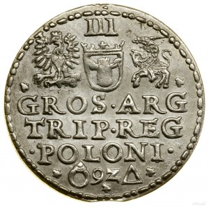 Trojak, 1592, Malbork ; au revers, anneau et triangle,...