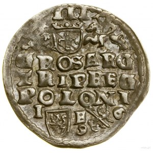 Trojak, 1596, Lublin; in the obverse legend P M D L, abbreviated....