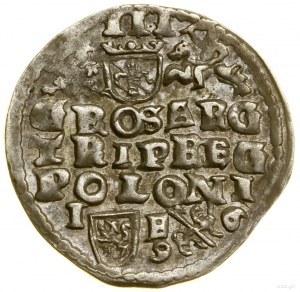 Trojak, 1596, Lublin; auf der Vorderseite die Legende P M D L, abgekürzt....
