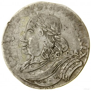 Ort, bez daty (1656), Elbląg; duża głowa władcy, odmian...