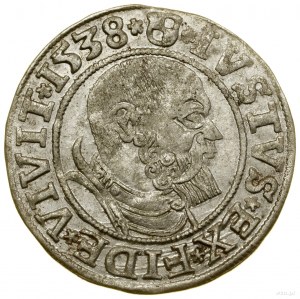 Penny, 1538, Königsberg ; pointe de la légende du revers PRVSS ;...