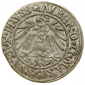 Penny, 1538, Königsberg ; pointe de la légende du revers PRVSS ;...