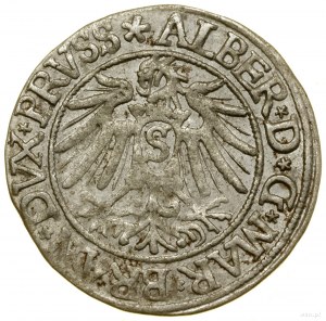 Pfennig, 1538, Königsberg; Spitze der Rückseitenlegende PRVSS;...