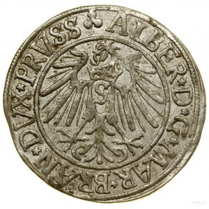 Penny, 1541, Königsberg; odroda s dlhou kniežacou bradou, ...