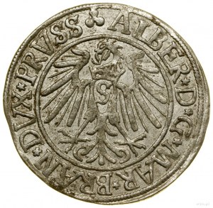 Penny, 1541, Königsberg; varietà con lunga barba da principe, ...