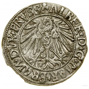 Grosz, 1545, Królewiec; końcówka legendy PRVSS, BRAИ za...
