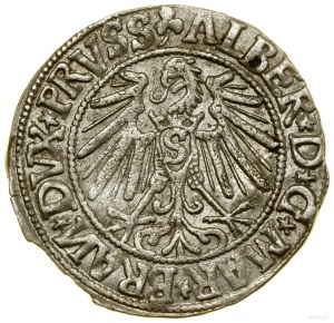 Penny, 1545, Königsberg; end of legend PRVSS, BRAИ per...
