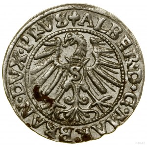 Pfennig, 1546, Königsberg; Fürst mit hohem Kragen, Ko...