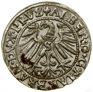 Penny, 1546, Königsberg ; prince à collier, ko...