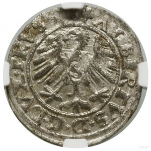 Szeląg, 1550, Królewiec; Kop. 3761 (R), Slg. Marienburg...