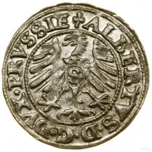 Sheląg, 1550, Königsberg ; Cop. 3761 (R), Slg. Marienburg...