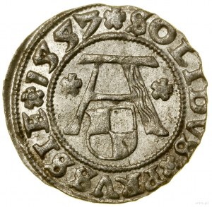 Shell, 1557, Königsberg; on the obverse above the Eagle 