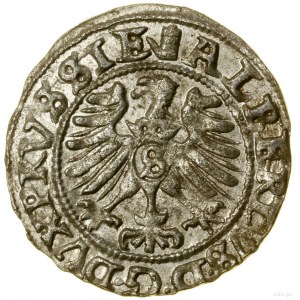 Szeląg, 1557, Królewiec; na awersie nad Orłem „baszta”;...