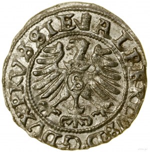 Shell, 1557, Königsberg; on the obverse above the Eagle 