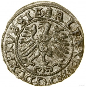 Szeląg, 1557, Królewiec; na awersie nad Orłem „baszta”;...