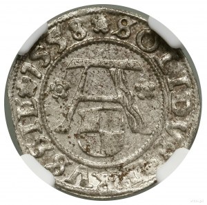 Sheląg, 1558, Königsberg ; Cop. 3768 (R), Slg. Marienburg...