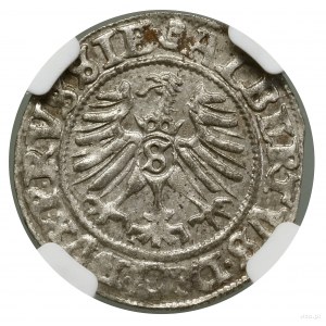 Szeląg, 1558, Królewiec; Kop. 3768 (R), Slg. Marienburg...