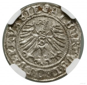 Sheląg, 1558, Königsberg ; Cop. 3768 (R), Slg. Marienburg...