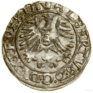 Szeląg, 1558, Królewiec; Kop. 3768 (R), Slg. Marienburg...