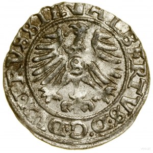 Sheląg, 1558, Königsberg; Cop. 3768 (R), Slg. Marienburg...