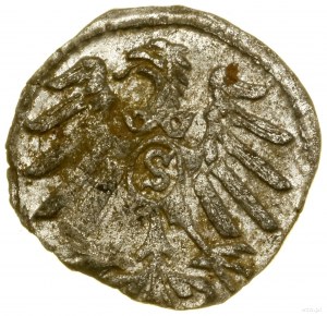 Denar, 1558, Królewiec; H-Cz. 8694 (R5), Kop. 3753 (R5)...