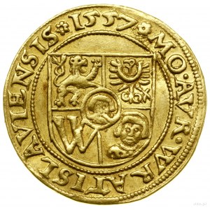 Ducato, 1557, Breslavia; Av: scudo a cinque campi dello stemma di Breslavia; Av: sc...