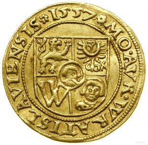 Ducato, 1557, Breslavia; Av: scudo a cinque campi dello stemma di Breslavia; Av: sc...