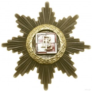 Výsadkový prapor - pamětní odznak, Poznaň; Osmiletý...