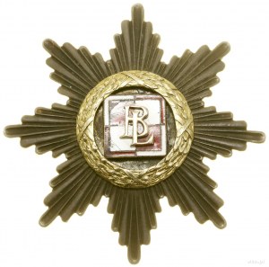 Aviation Battalion - commemorative badge, Poznań; Eight-foot...