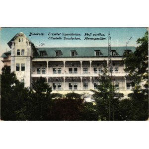 1929 Budakeszi, Erzsébet szanatórium, férfi pavilon (EK)