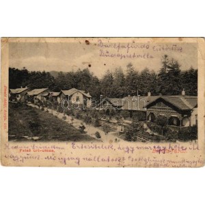 1904 Bártfa, Bártfafürdő, Bardejovské Kúpele, Bardiov, Bardejov; Felső Úri utca, nyaralók. Divald Adolf 111. ...
