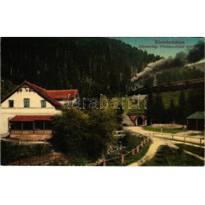 1913 Körmöcbánya, Kremnitz, Kremnica; Zólyomvölgy, Ferenc József nyaraló, vasút, gőzmozdony. Ritter Sándor kiadása ...