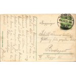 1913 Körmöcbánya, Kremnitz, Kremnica; Zólyomvölgy, Ferenc József nyaraló, vasút, gőzmozdony. Ritter Sándor kiadása ...