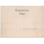 Praha, Prag; Pozdrav z Prahy, Hradcany. Tiskopis / giant postcard (31 x 23 cm) (small tear)