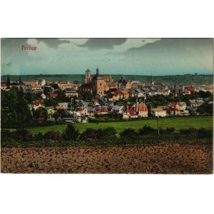 1917 Turnov, Turnova nad Jizerou, Turnau; general view + K.u.K. Reservespital in Turnau (EK)