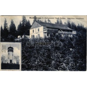 1908 Zlaté Hory, Zuckmantel; Bischofskoppe, Schutzhaus Rudolfsheim, Kaiser Franz Josef Warte / Biskupská kupa ...
