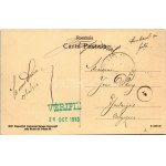 1913 Craiova, Királyi; Bulevardul Mihai Bravul. TCV card + VÉRIFIÉ 26 OCT. 1913