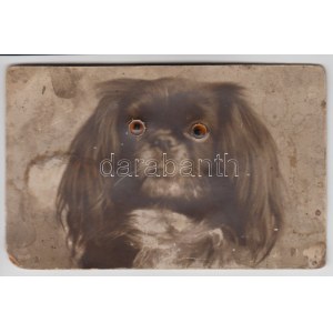 Dog with button eyes, mechanical card (b)